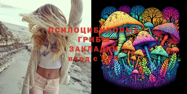 кристаллы Ельня