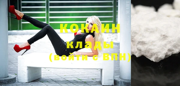 дмт Елизово