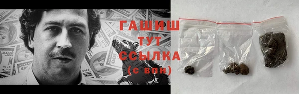 дмт Елизово