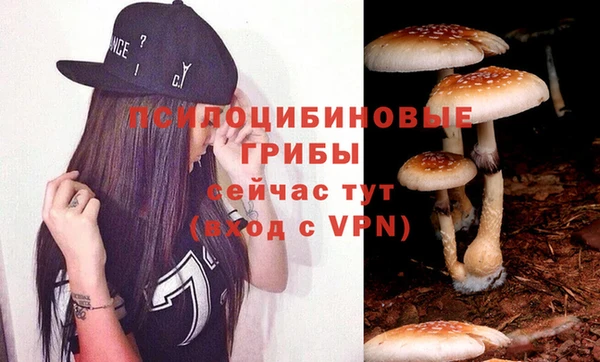 герыч Елабуга