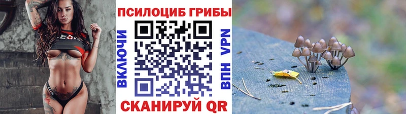 blacksprut зеркало  Каменск-Шахтинский  Псилоцибиновые грибы прущие грибы 