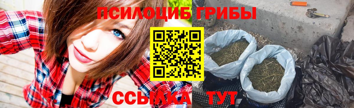 Галлюциногенные грибы Cubensis  Вход с VPN  Псилоцибиновые грибы прущие грибы  Каменск-Шахтинский 