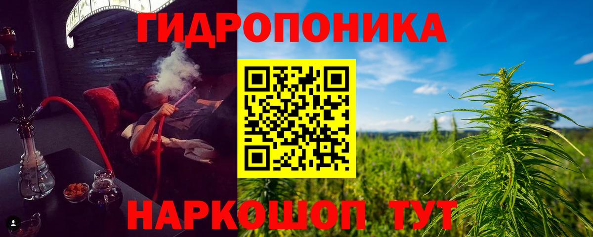 Каннабис SATIVA & INDICA  Марихуана гибрид  Бошки марихуана VHQ  Вход с VPN  Каменск-Шахтинский 